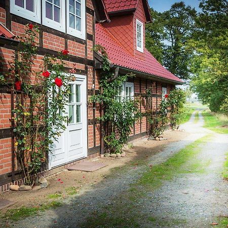 Landhaus Elbeflair Apartment Bei Doemitz Lenzerwische Bagian luar foto