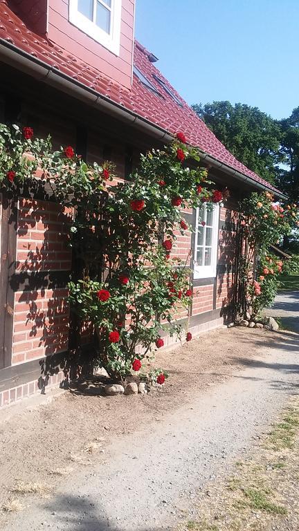 Landhaus Elbeflair Apartment Bei Doemitz Lenzerwische Bagian luar foto